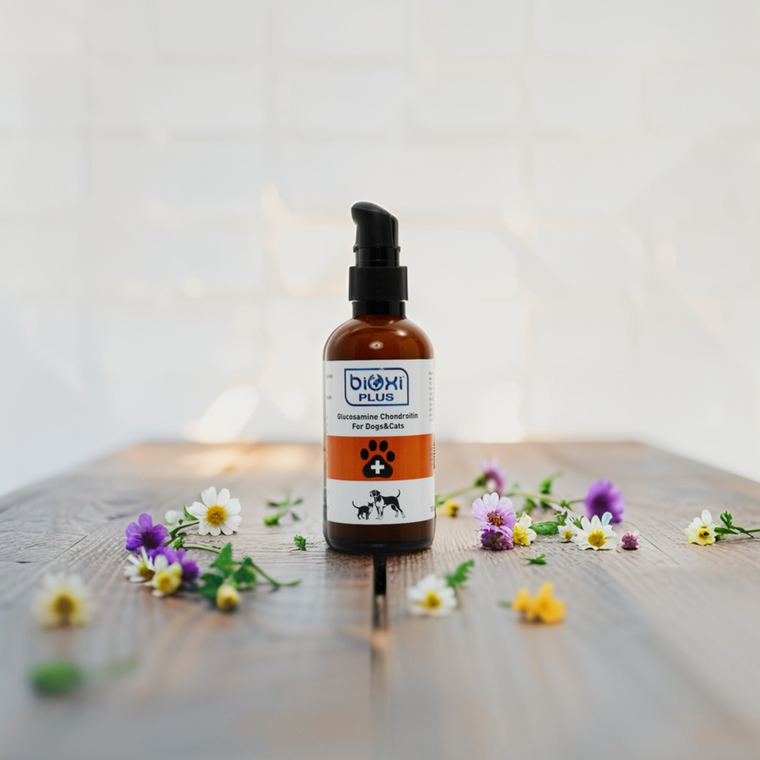 Bioxi® Plus Glucosamine Chondroitin Kedi Ve Köpekler İçin Eklem Sağlığı Takviyesi