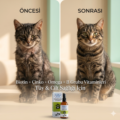 Bioxi® Plus Biotin + Zinc + Omega + B Group Vitamines - Kedi Ve Köpekler İçin Deri Ve Tüy Sağlığı Takviyesi