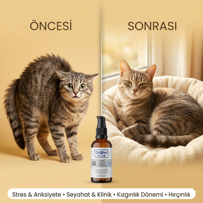 Bioxi® Plus Calming Liquid - Kedi ve Köpekler İçin Rahatlatıcı ve Sakinleştirici Destek