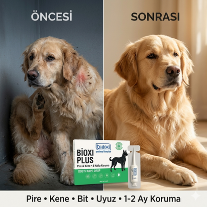 Bioxi® Köpek Pire Kene Ve Dış Parazit Ense Uygulaması 5x1 ml 5 tüp