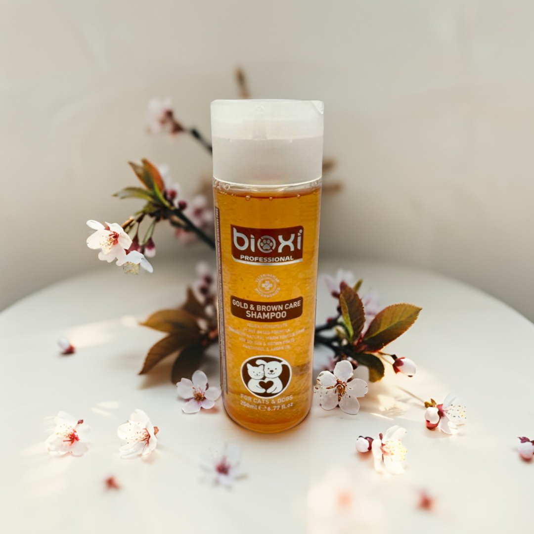 Bioxi® Gold & Brown Care Shampoo  – Altın ve Kahverengi Tüylü Kedi ve Köpekler İçin Bakım Şampuanı