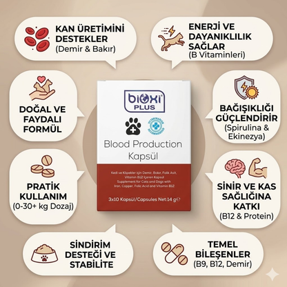 Bioxi Plus Blood Production Kapsül 3x10 – Kan ve Genel Sağlık Destekleyici Takviye