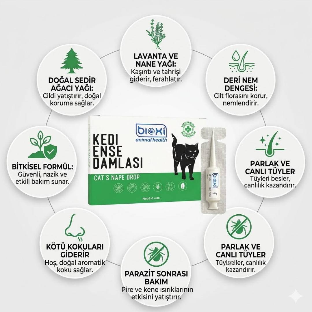 Bioxi® Kedi Pire Kene Ve Dış Parazit Ense Uygulaması 5x1 ml 5 tüp