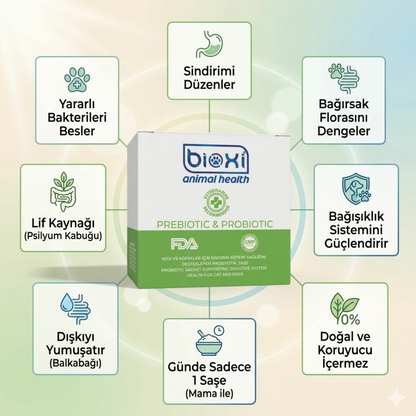 Bioxi® Plus Prebiotic & Probiotic – Sindirim ve Bağırsak Sağlığı Destekleyici Takviye
