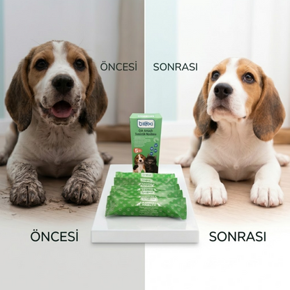 Bioxi® Animal Health Çok Amaçlı Temizlik Havlu 5'li
