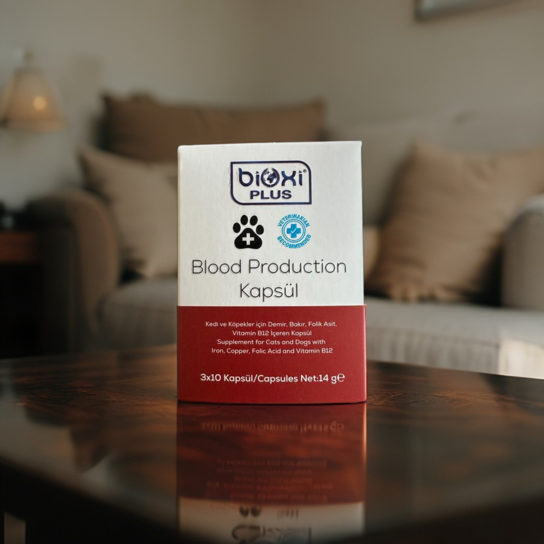 Bioxi Plus Blood Production Kapsül 3x10 – Kan ve Genel Sağlık Destekleyici Takviye