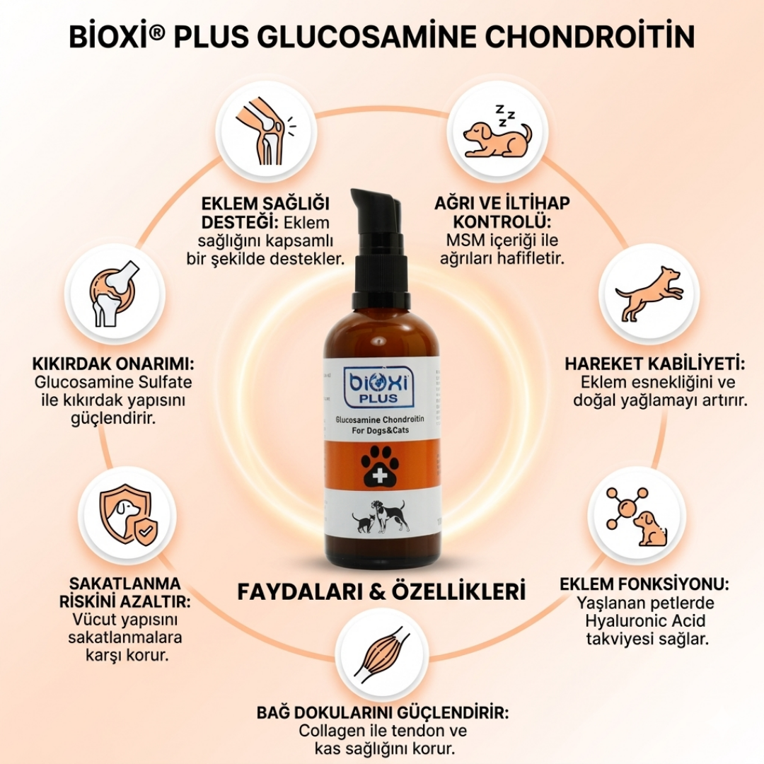 Bioxi® Plus Glucosamine Chondroitin Kedi Ve Köpekler İçin Eklem Sağlığı Takviyesi