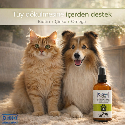 Bioxi® Plus Biotin + Zinc + Omega + B Group Vitamines - Kedi Ve Köpekler İçin Deri Ve Tüy Sağlığı Takviyesi