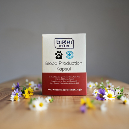 Bioxi Plus Blood Production Kapsül 3x10 – Kan ve Genel Sağlık Destekleyici Takviye